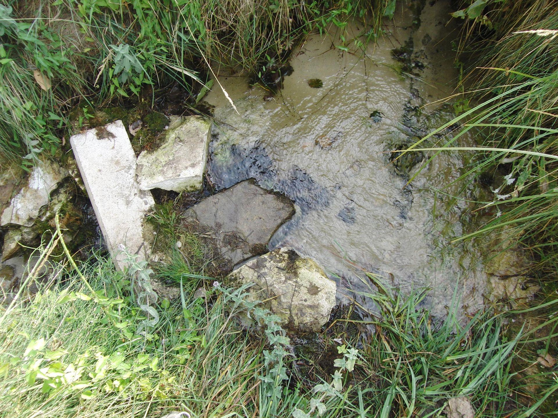 Fuente las Palomas
