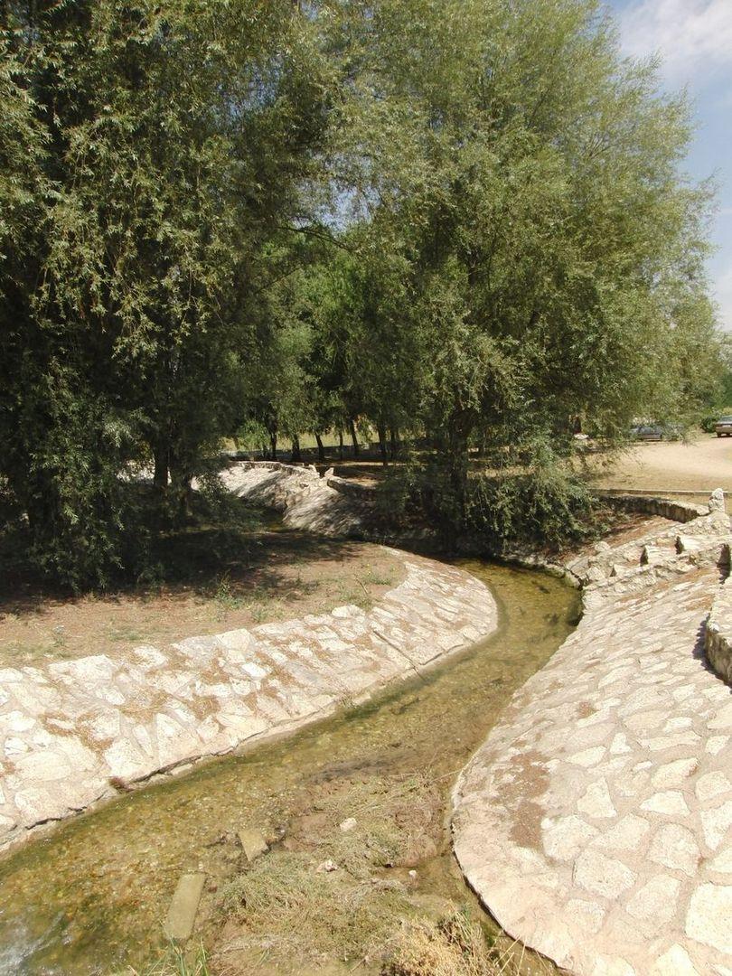 Berlangas De Roa